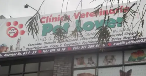 CLINICA VETERINARIA PET LOVER CLINICA VETERINARIA PET LOVER